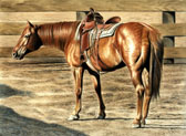 Western, Equine Art - Waiting to Go For a Trail Ride